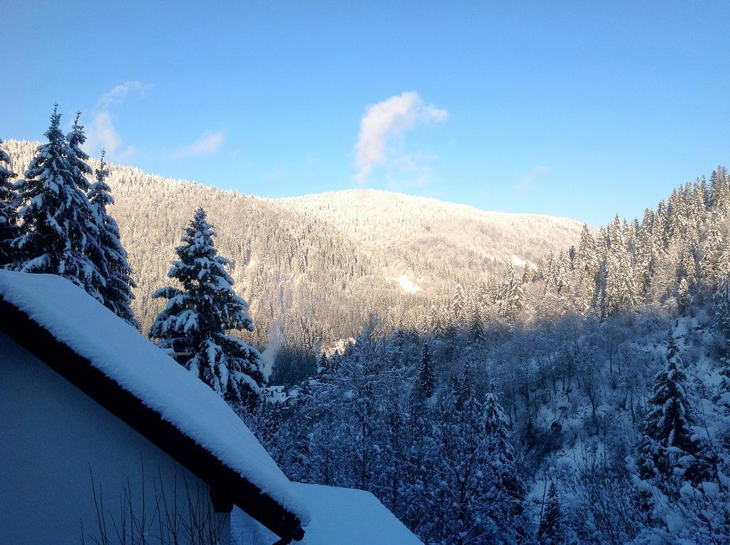 Villa Alpiyka Slavske Buitenkant foto