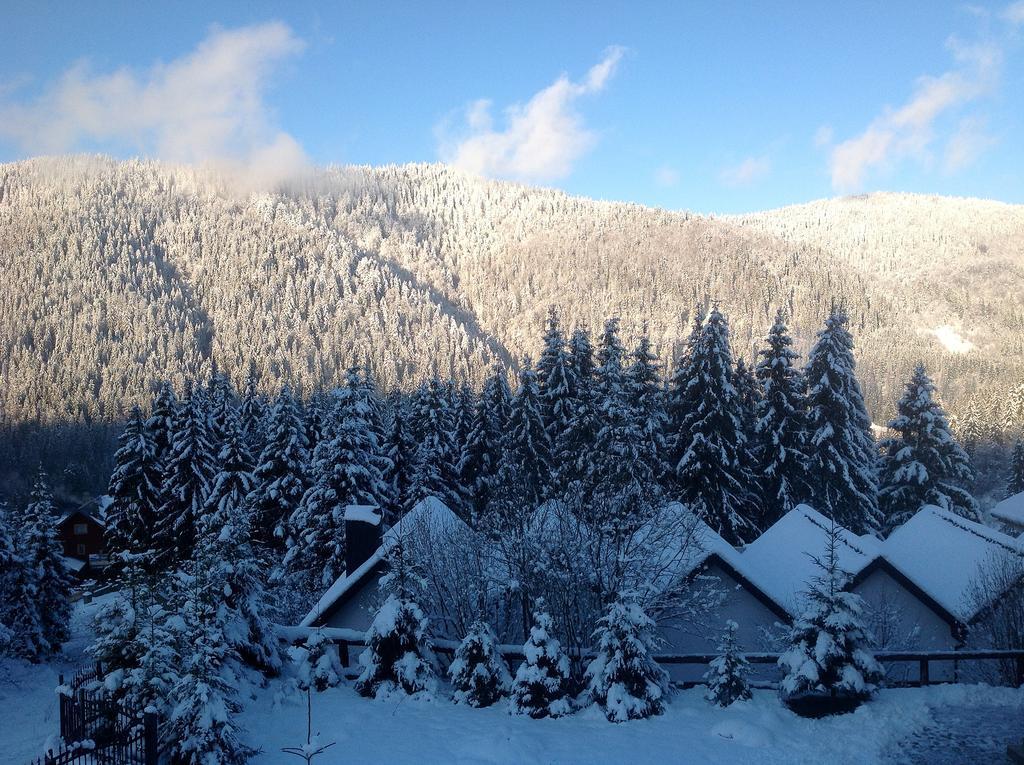 Villa Alpiyka Slavske Buitenkant foto