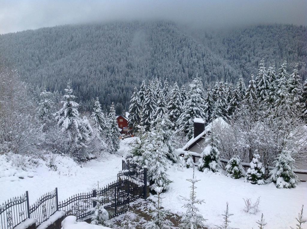 Villa Alpiyka Slavske Buitenkant foto