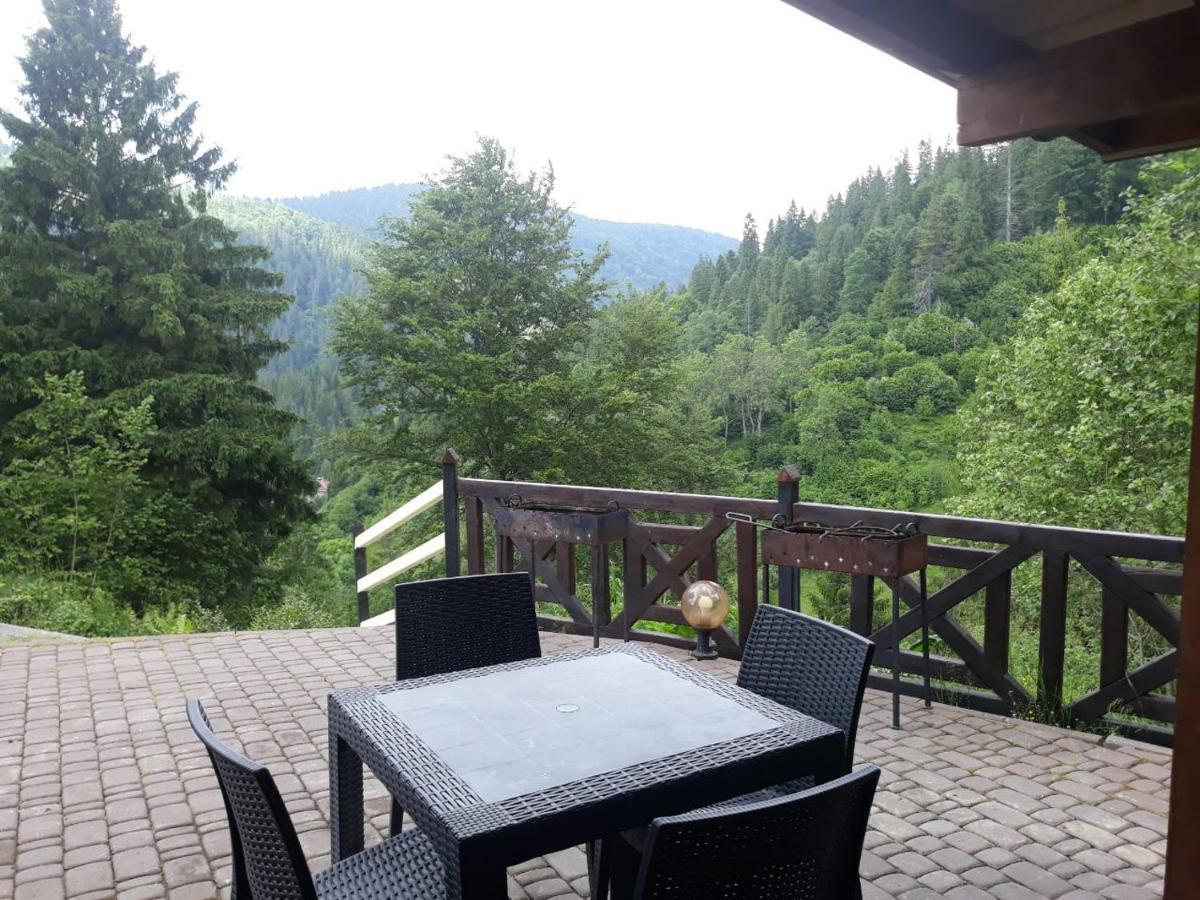 Villa Alpiyka Slavske Buitenkant foto